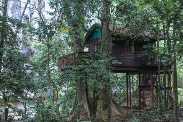 บ้านกระท่อมท้ายสวน ยกพื้นใต้ถุนสูง กลางป่าด้วยธรรมชาติสีเขียว 