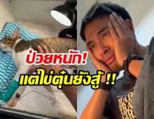 เกรท วรินทร อัปเดตอาการไข่ตุ๋น ทำคุณพ่อน้ำตาซึม!