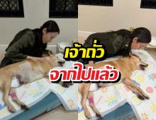 เศร้า อั้ม พัชราภา แจ้งข่าวเศร้า น้องหมาเจ้าถั่วจากไปแล้ว