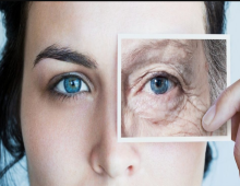 วิจัยญี่ปุ่นเฟิร์ม!เติมสิ่งนี้ปลุกเซลล์เกิดใหม่ หน้าใสไกลริ้วรอย